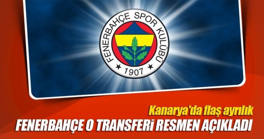 Fenerbahçe, Bogdanovic'in ayrıldığını resmen açıkladı - Avrupa Haberleri